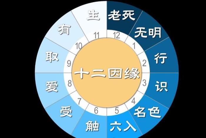 佛教有关于生命的知识点（佛教对生命的定义）