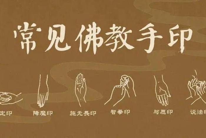 佛教中什么是智慧（佛教中什么是智慧的）