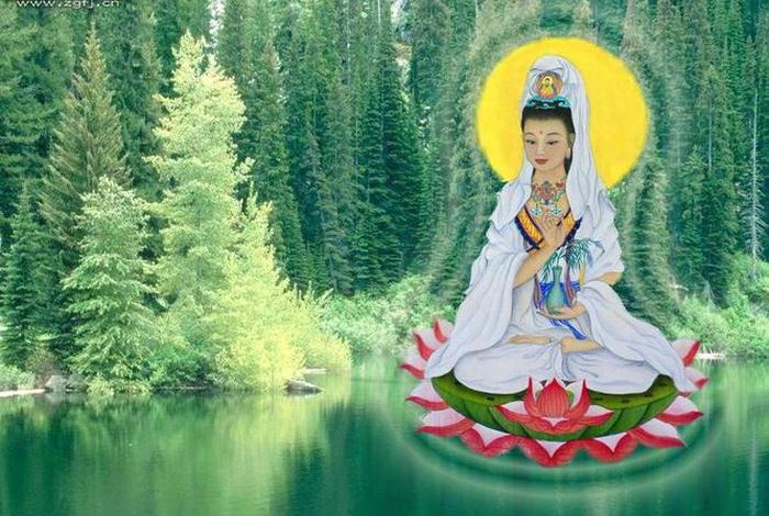 弘扬佛教文化大慈大悲（发扬佛教慈悲济世精神）