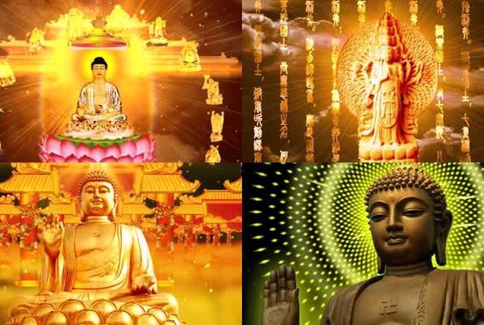 佛教一些知识素材视频大全下载 佛教一些知识素材视频大全下载安装