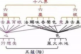 佛教里面的六根是什么，佛教中的六根是什么
