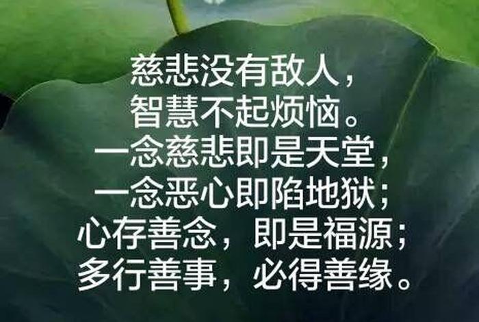 慈悲发愿 慈悲观修法