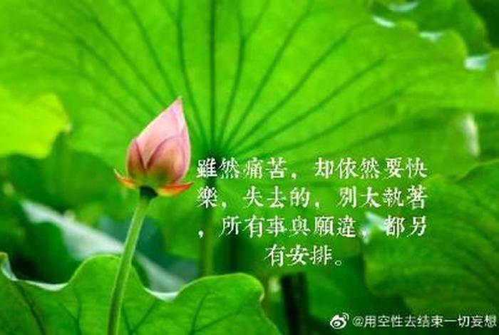 佛教里讲责任、佛教 不负责任的父亲