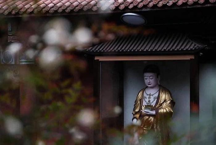 去什么地方才能学佛 - 去什么地方才能学佛修行