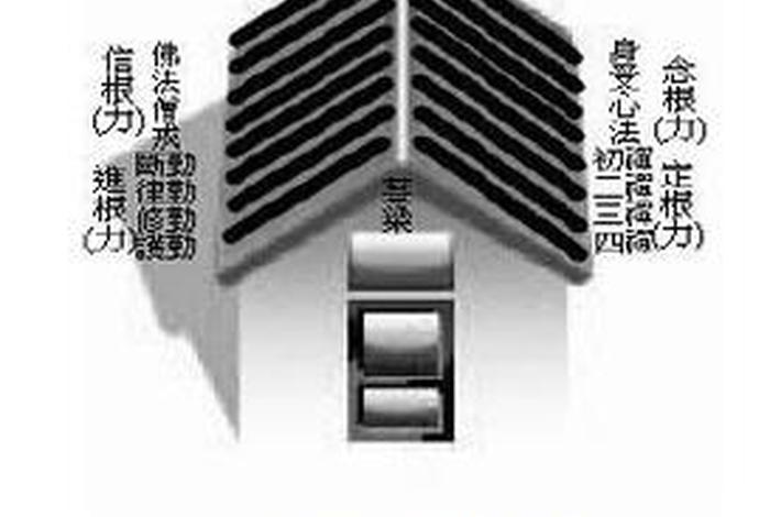 佛教五根五力详解 - 佛教中的五根五力