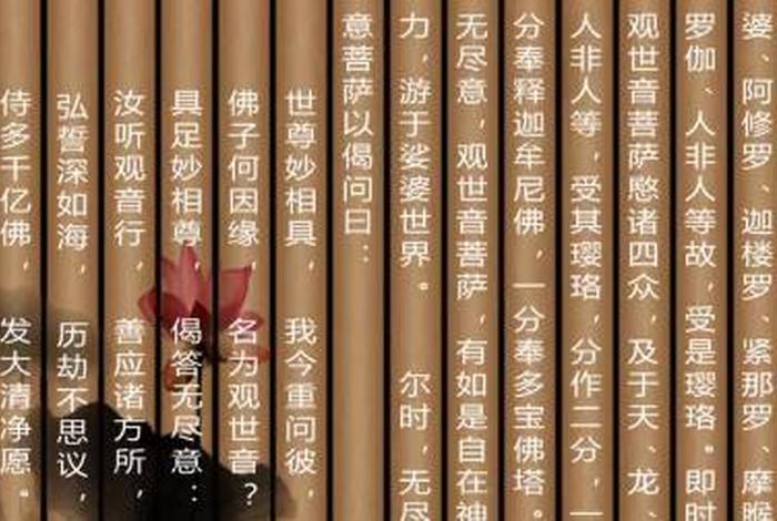 佛教佛学视频讲解（佛教讲解视频播放）