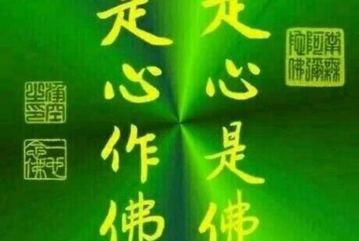 佛教的愚痴简单解释（佛说愚痴的原因）