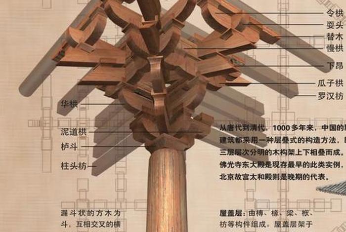 佛教寺院基本知识大全图片高清、佛教寺庙结构图