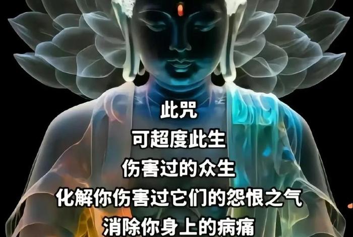 抖音里可以讲佛学内容 - 抖音可以讲佛教吗