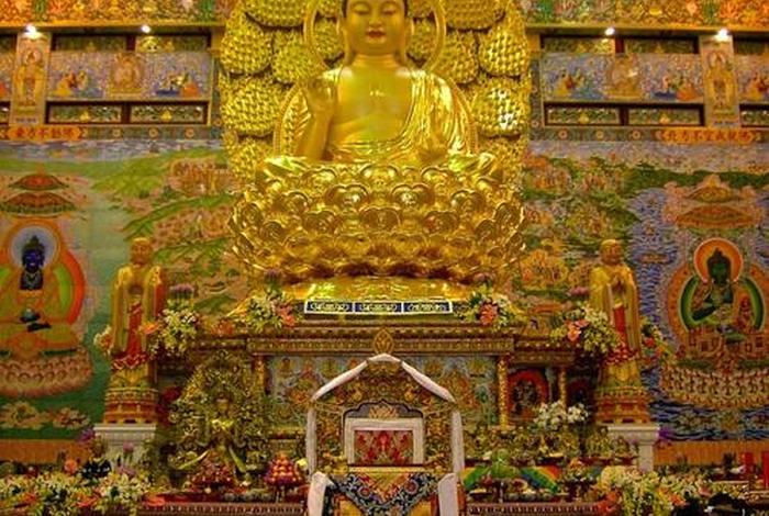 高级佛教（佛教高层）