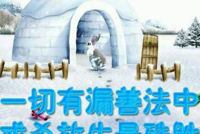 佛教放生的故事全集（佛教放生的经典句子）