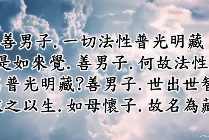 佛学智慧经典视频 佛学 智慧