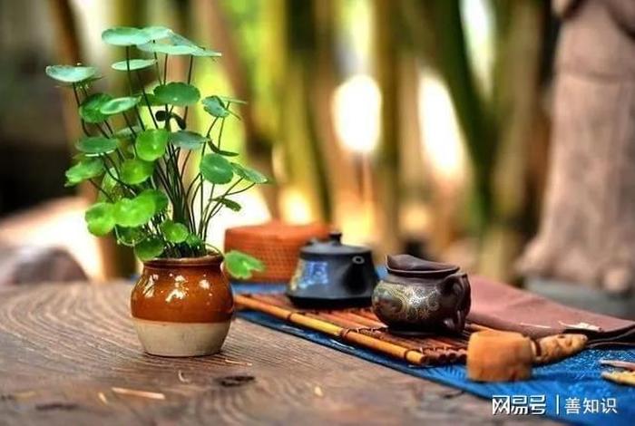 佛教开悟后怎么修行，佛教开悟后怎么修行最好