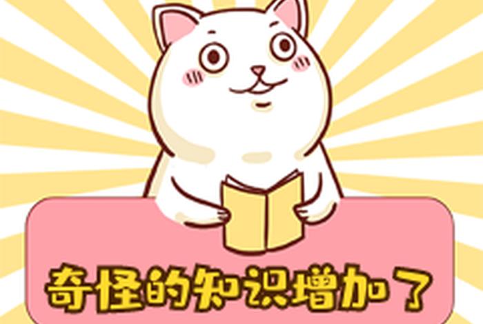 奇怪的知识又要增加了，奇怪的知识又要增加了的成语