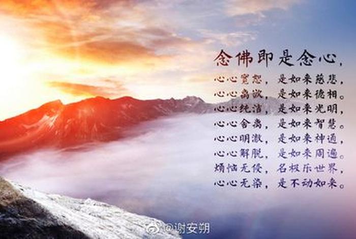 佛教参悟人生 佛学参悟