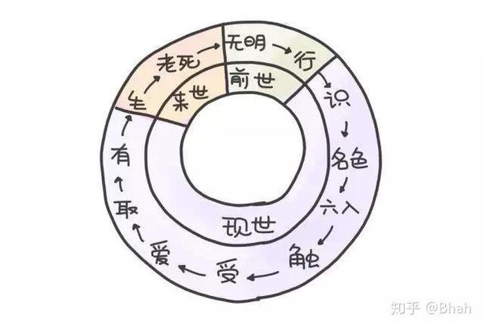 佛教中的12因缘是什么，佛教十二因缘指的是什么