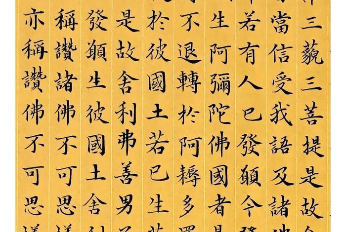 无量寿经佛学视频网，无量寿经 视频
