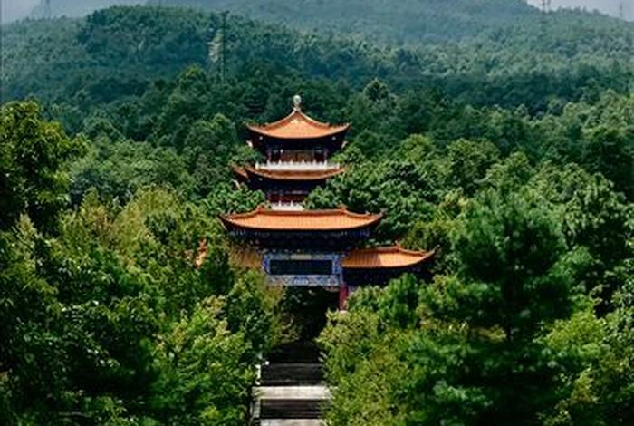 佛教观光旅游划分为哪几类（佛教观光旅游划分为哪几类类型）