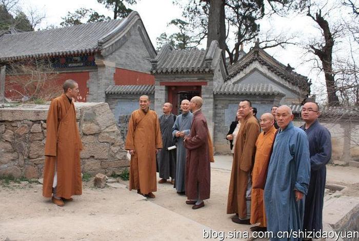 衍真法师讲经视频 衍真法师的经历