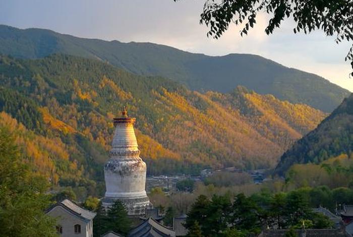 五台山与西藏拉萨佛教地位 五台山和西藏哪个震撼
