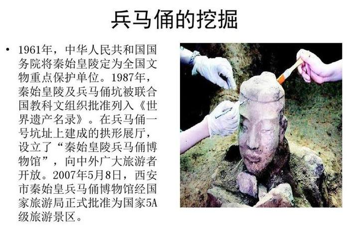 佛教如何运用兵马俑知识讲解（佛教有兵马吗）