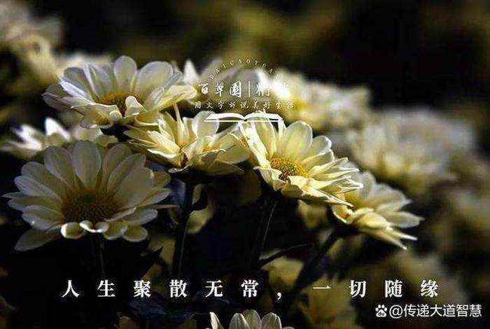 佛学人生无常诗句 佛学人生无常诗句有哪些