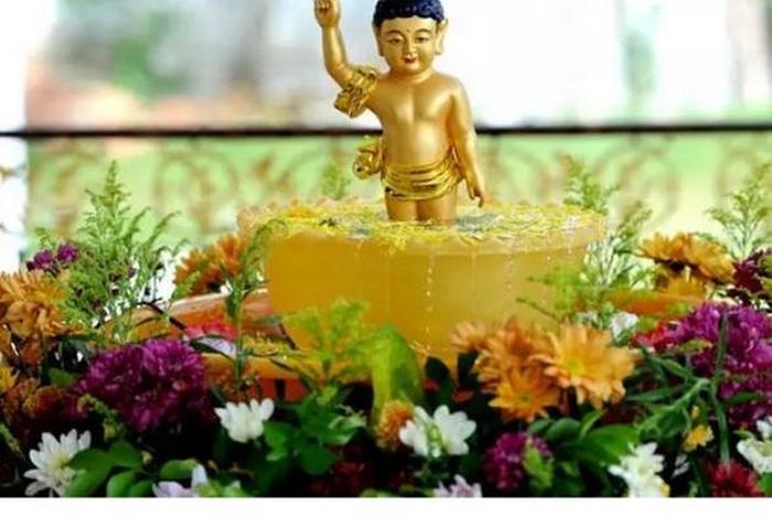 佛弟子网佛教视频（佛弟子网最新版）