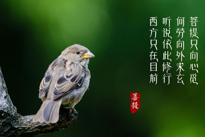 佛家讲的执迷 - 佛教讲的执着怎么解释