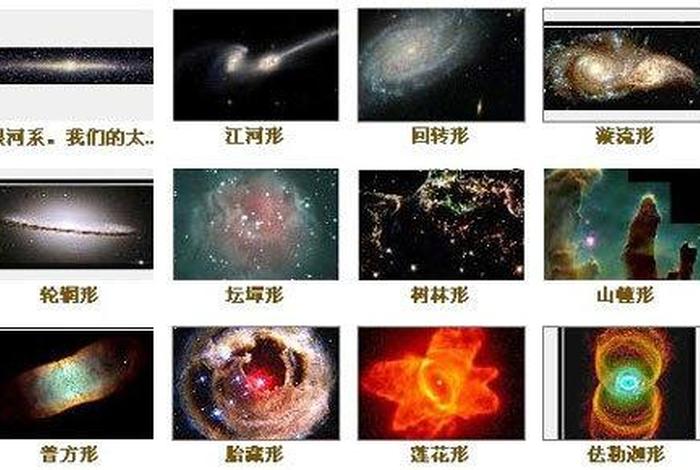 微生物的知识与佛教的关系、佛教如何看待微生物