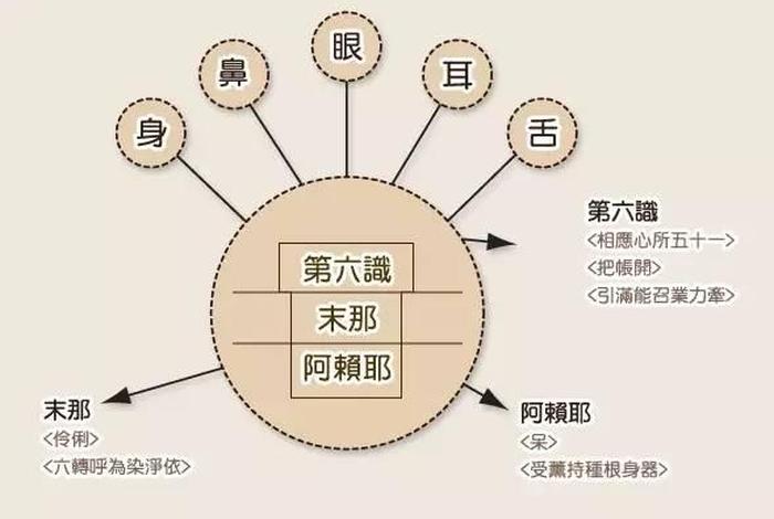 佛教八识最精确的解释，末那识和阿赖耶识的关系