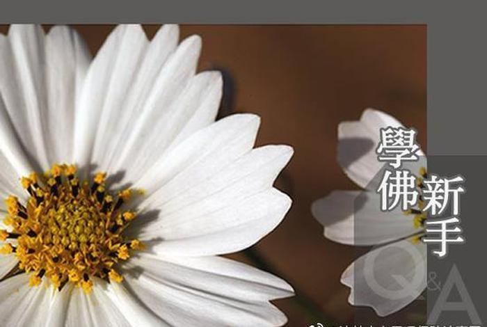 关于佛法无常的理解和认知，佛学无常的句子