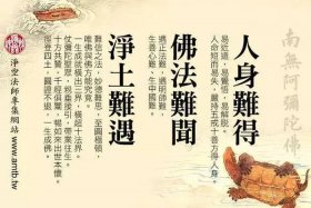 佛教所说的八苦是什么，佛教“八苦”