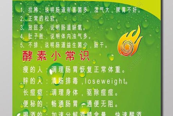 酵素的做用（酵素的作用和吃法）
