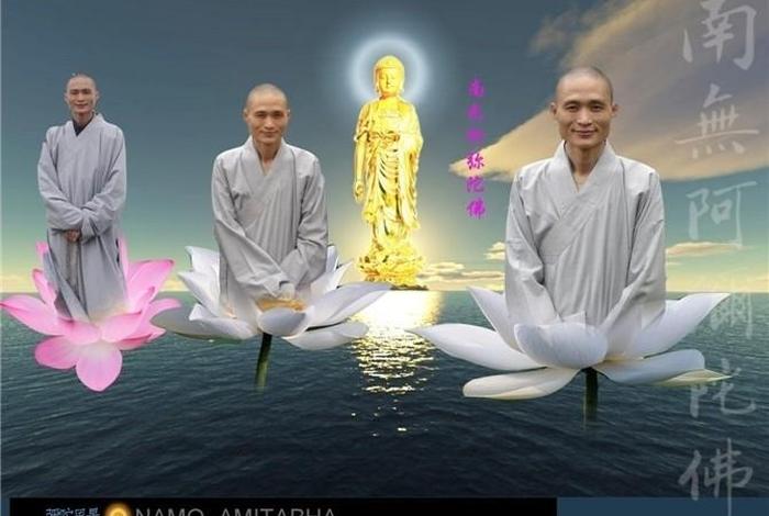 感恩师父弘扬佛法传播正能量 感恩师父分享弘扬佛法的诗句