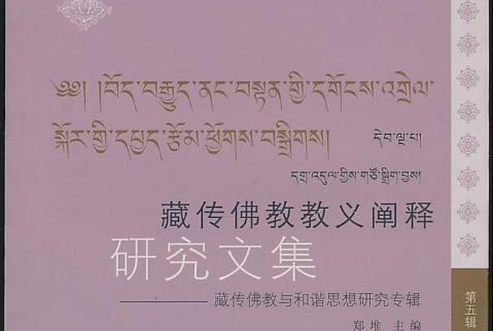 藏传佛教 教义（藏传佛教教义阐释书籍）