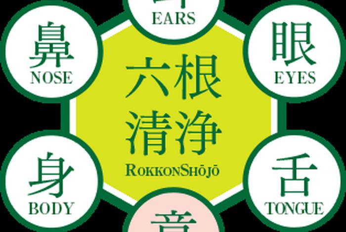 佛教中的六根是指、佛教讲的六根是啥意思