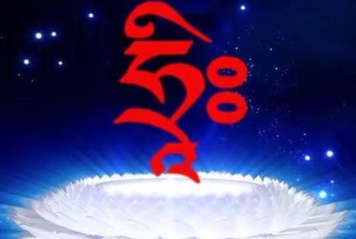 佛法三摩地指的是什么（三摩地是开悟吗）
