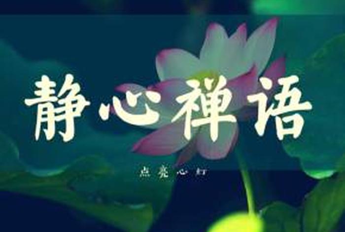 佛学智慧禅语大全讲座视频 - 禅语智慧视频下载