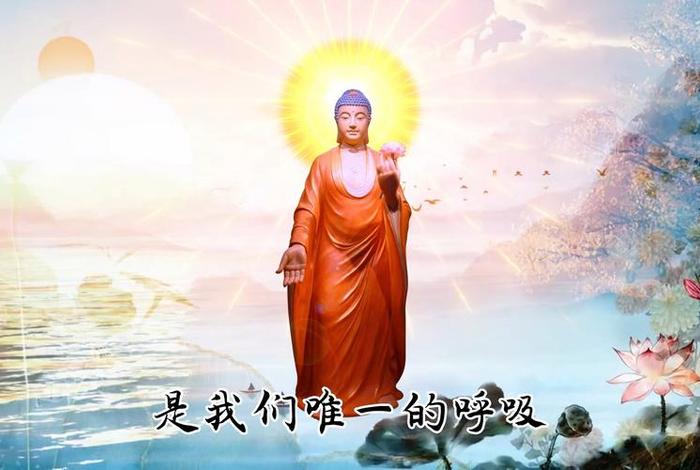 细讲念佛体会视频、细讲念佛体会视频教学