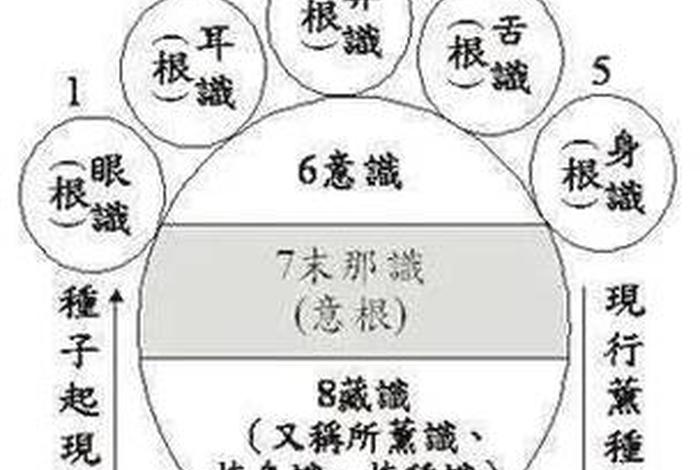 佛教唯识思想的深度解析，佛教唯识思想的深度解析是什么