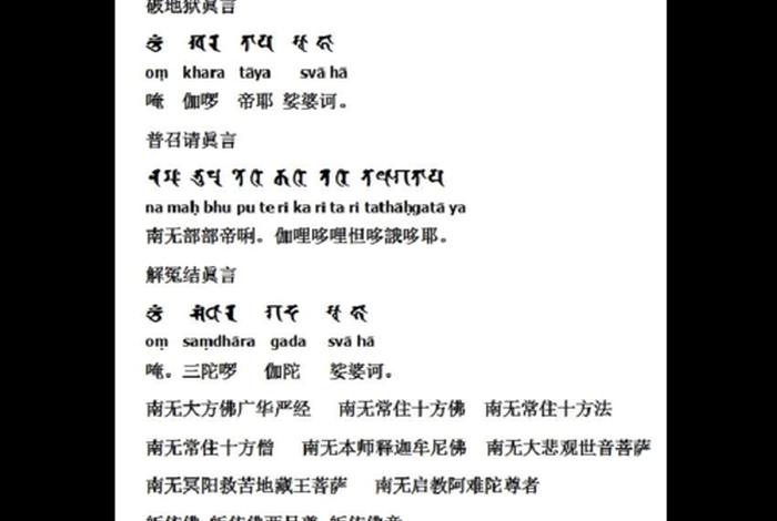 佛教 肉食 - 佛教肉食变素食咒
