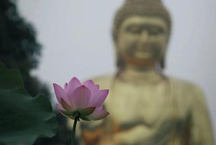 佛教在生活中的运用 佛教在现实生活中的意义