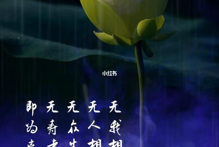 人无我空性是什么意思；人无我空性禅修1
