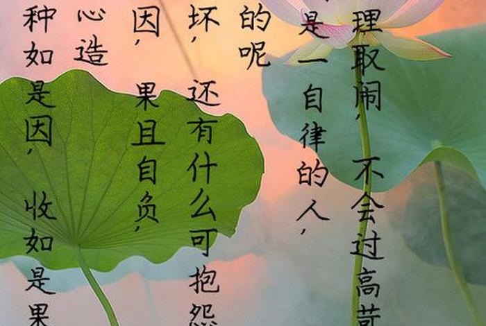 佛教发菩提心是什么；发菩提心的利益