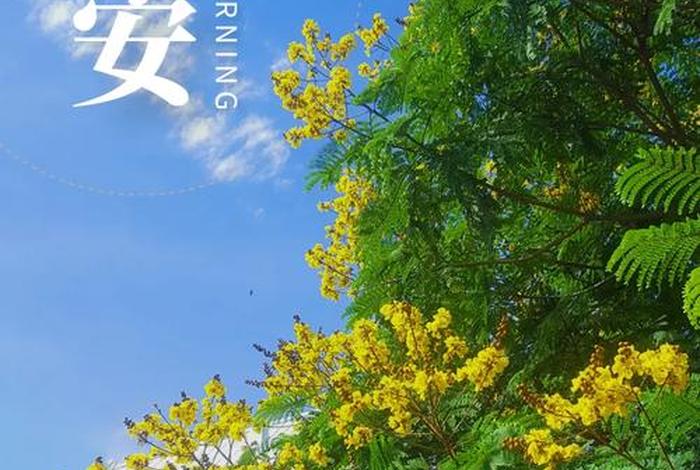 每天