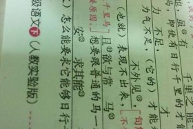 及时雨文言文翻译，文中及时雨的意思是什么？作业帮