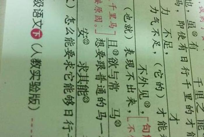 及时雨文言文翻译，文中及时雨的意思是什么？作业帮