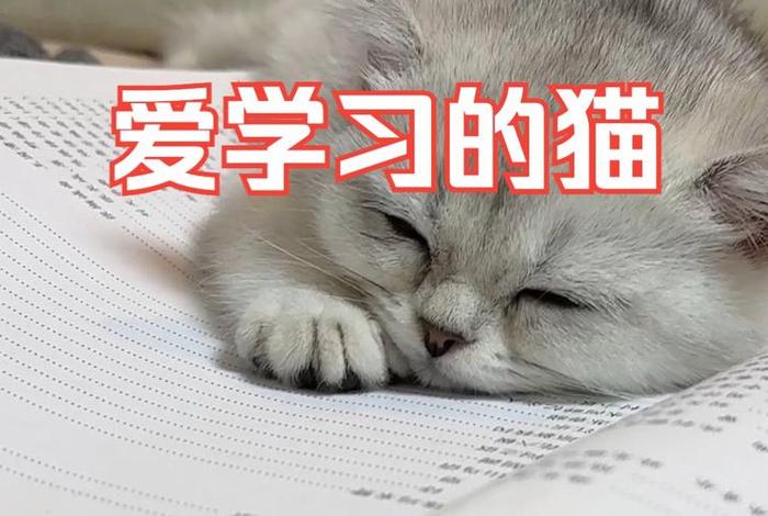 学习