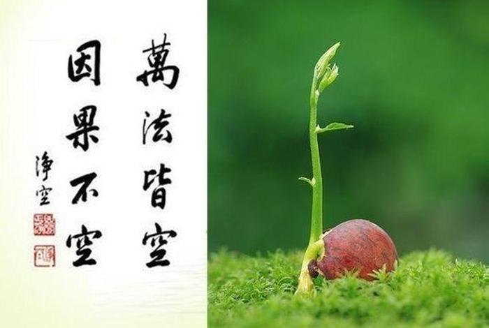 何为大善知识、大善之道什么意思