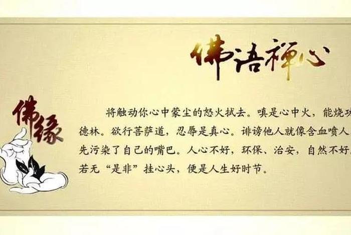 每日一禅佛经 - 佛教每日一禅感悟人生